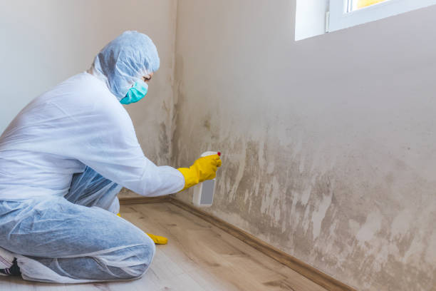 Crawl Space Mold Remediation treatment of floor joists in Towaco